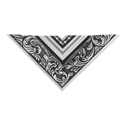 Baroque II Silver Picture Frame, 8.8x26.3"