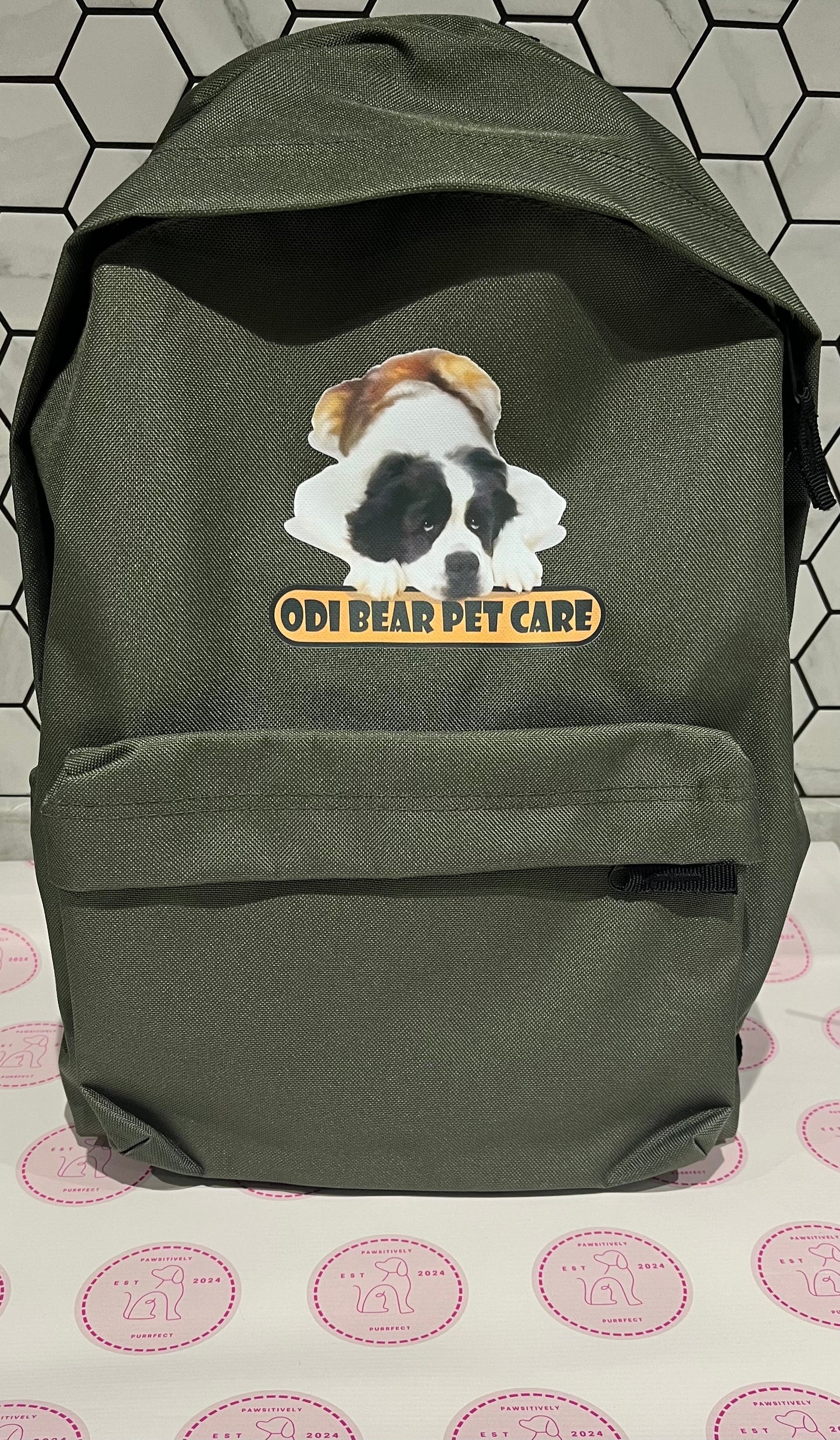 Business Backpack