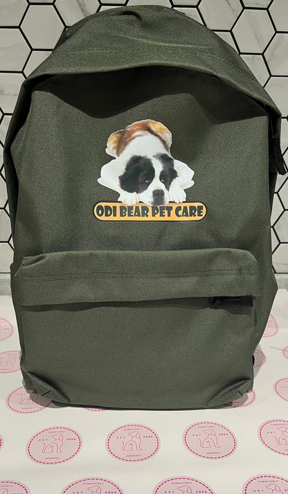 Business Backpack