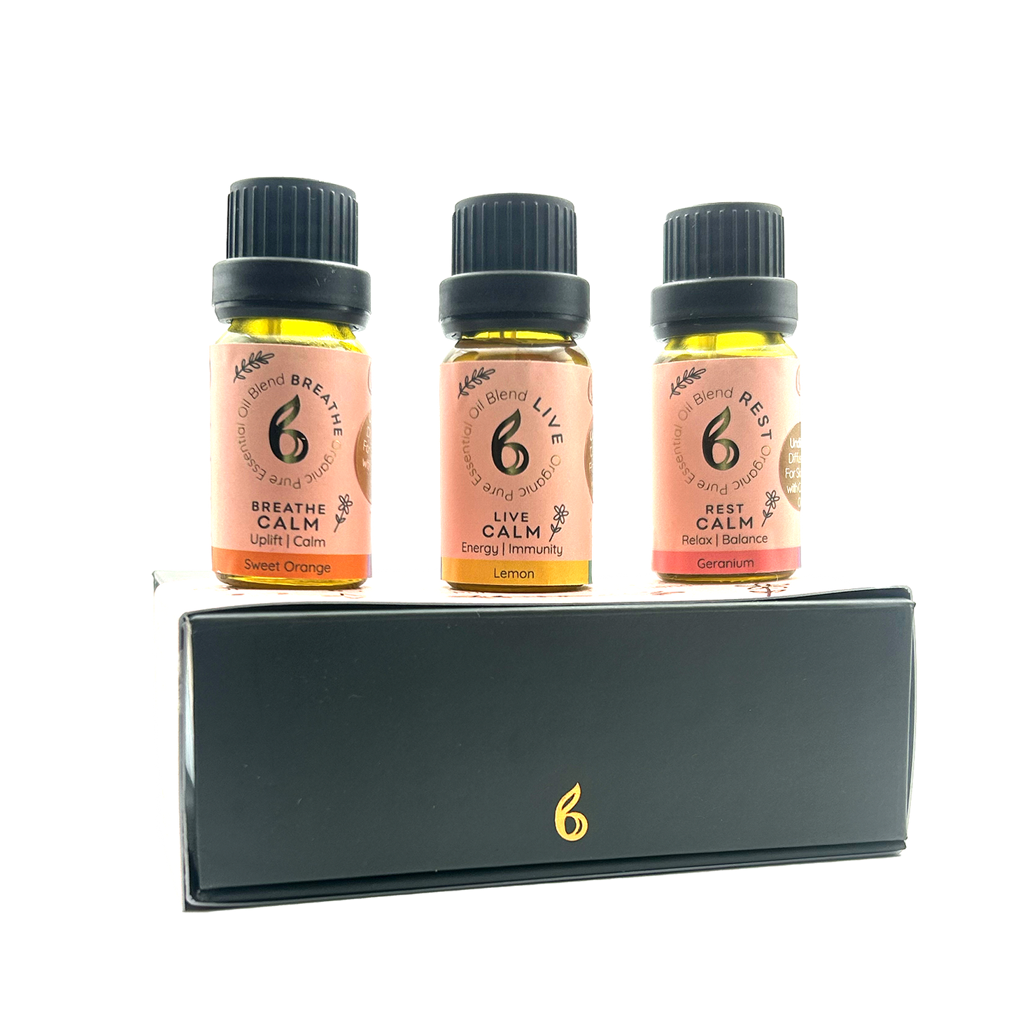 B Calm Studio Starter Bundle