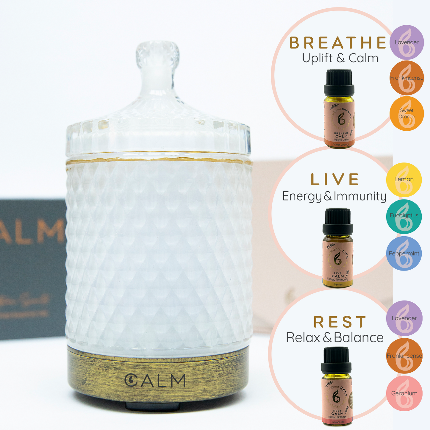 B Calm Studio Starter Bundle