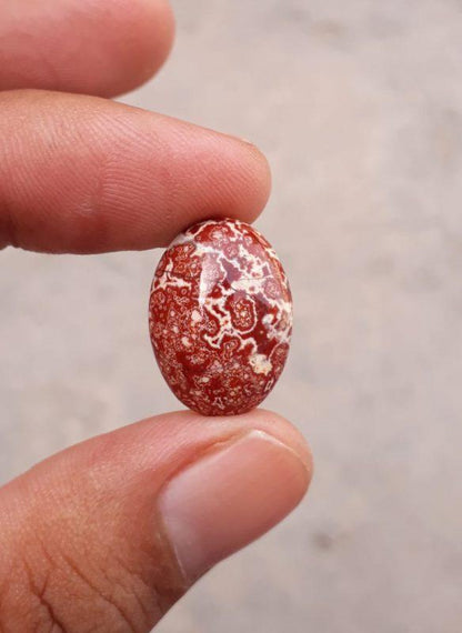 9.5ct Jasper - Blood Jasper Cabochon - Red Jasper -19.7x14mm
