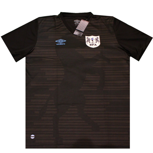Botswana 2020-2021 3rd Shirt (BNWT) XL