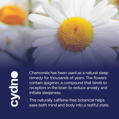 Chamomile Tea