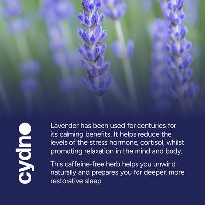 Lavender Tea