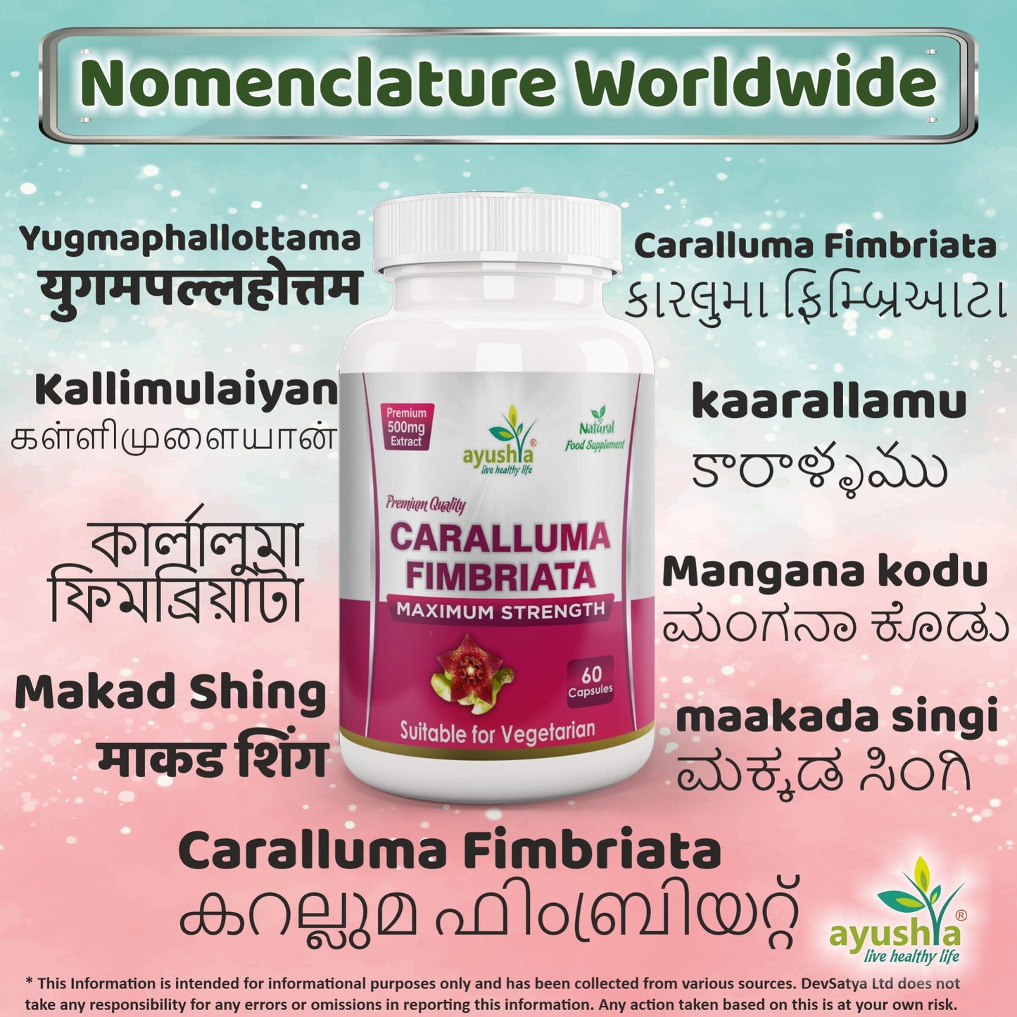 Ayushya Caralluma Fimbriata Capsules (Famine Food) Appetite Balance Support - Vegan, Gluten Free, Non-GMO, 60 Capsules