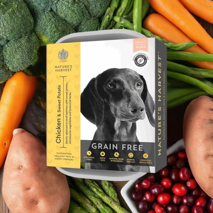 Grain Free Chicken & Sweet Potato - Adult
