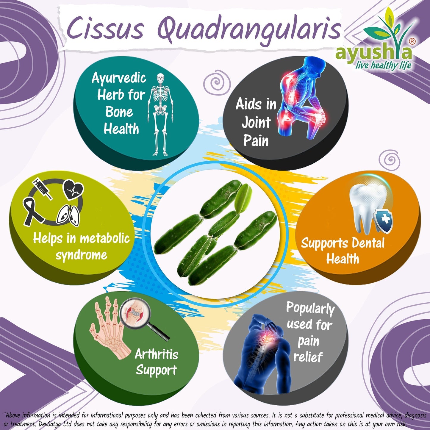 Ayushya Cissus Quadrangularis Capsules (Hadjod, Bone Setter) Joint & Bone Support - Vegan, Gluten Free, Non-GMO, 60 Capsules