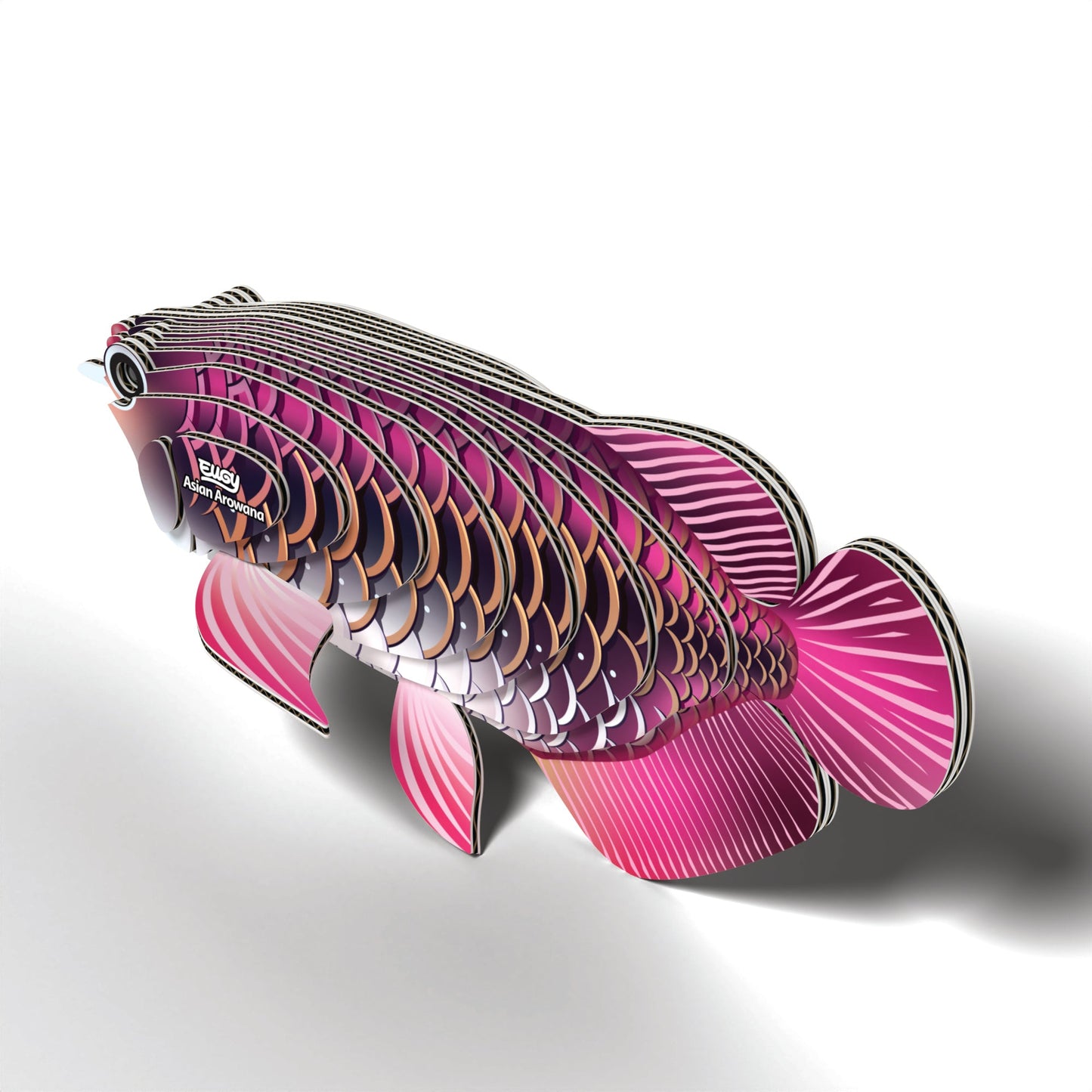 EUGY Asian Arowana