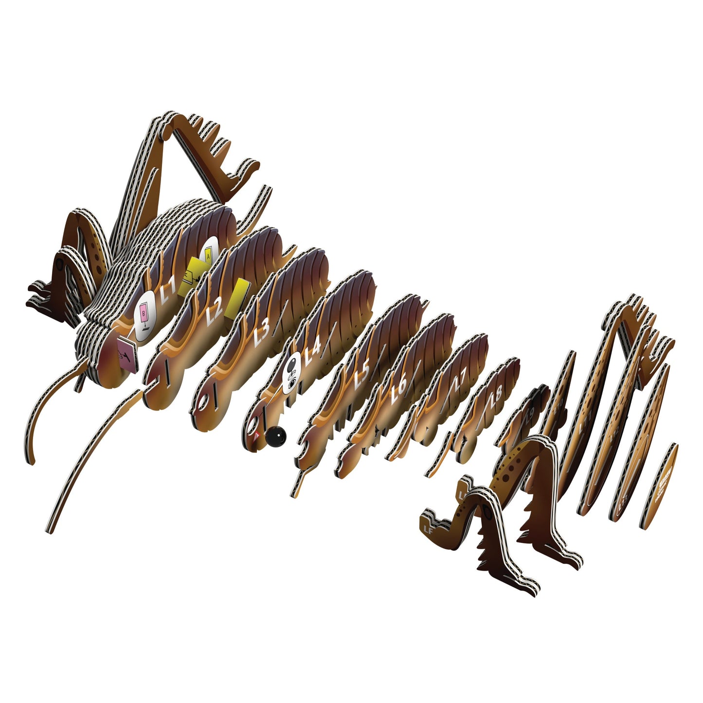 EUGY Giant Weta