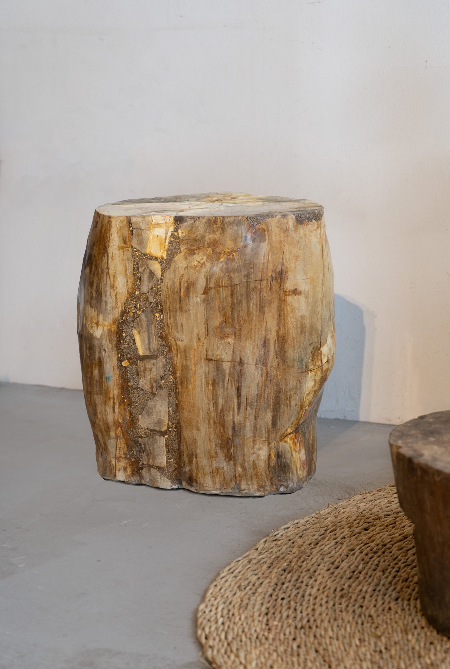 Petrified Wood Side Table / Stool
