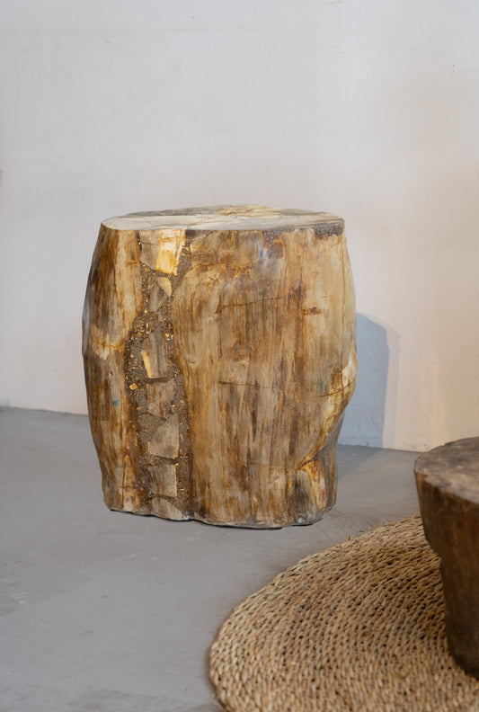 Petrified Wood Side Table / Stool