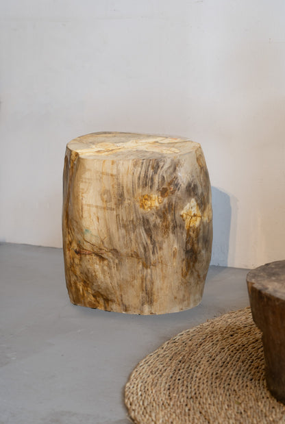 Petrified Wood Side Table / Stool
