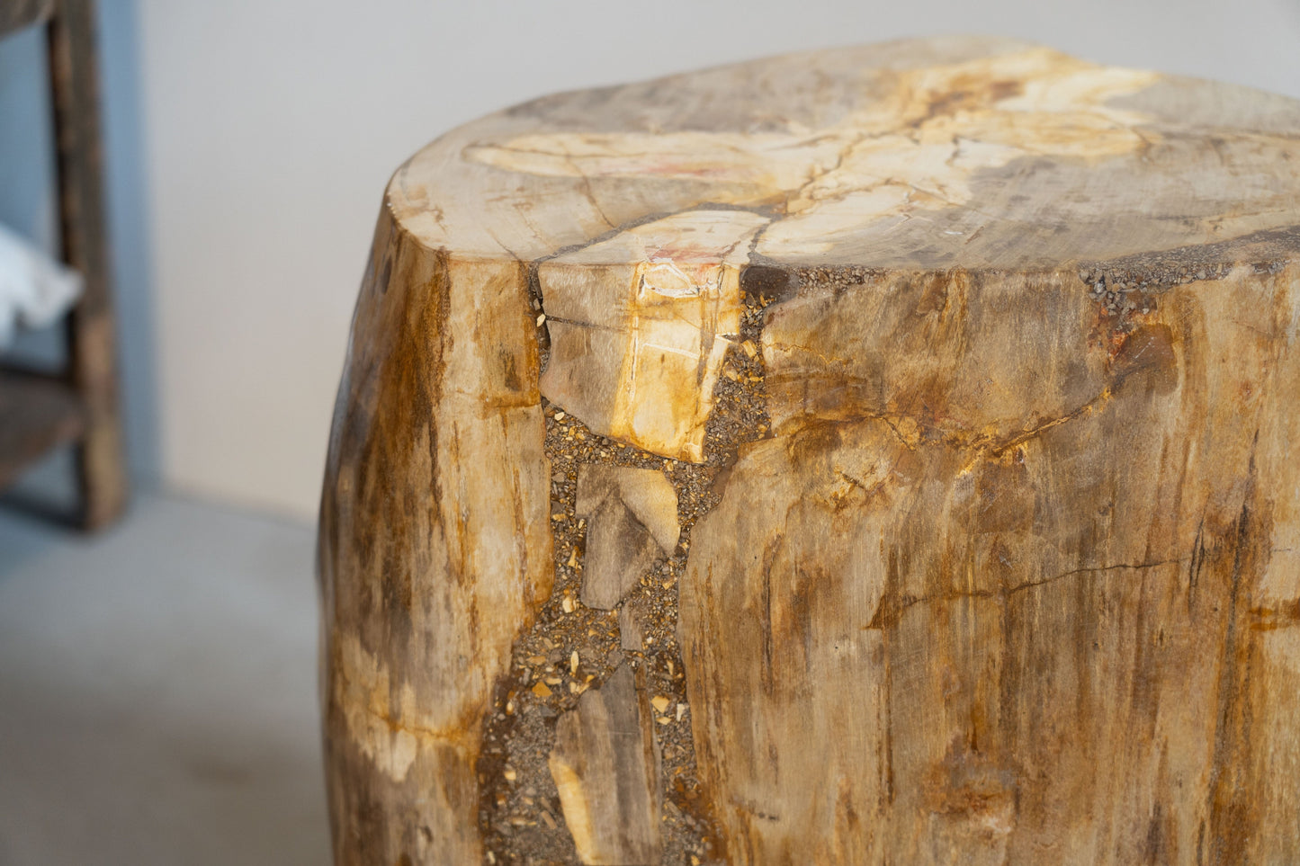 Petrified Wood Side Table / Stool