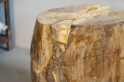 Petrified Wood Side Table / Stool