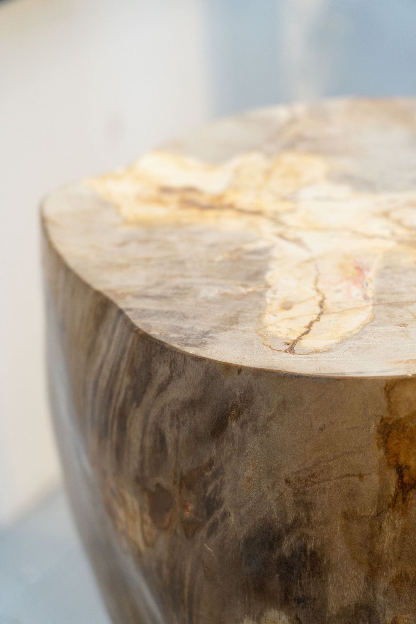 Petrified Wood Side Table / Stool