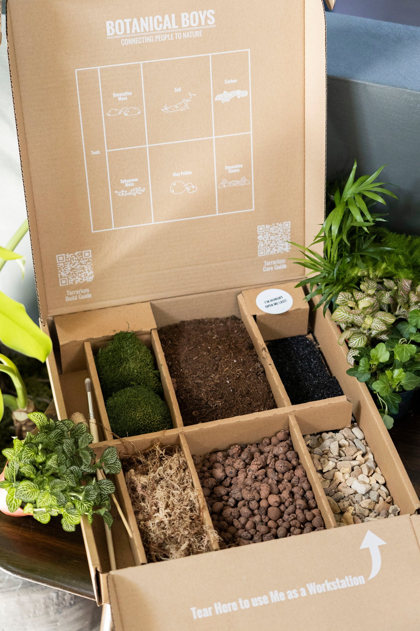 Bell Jar Terrarium Kit