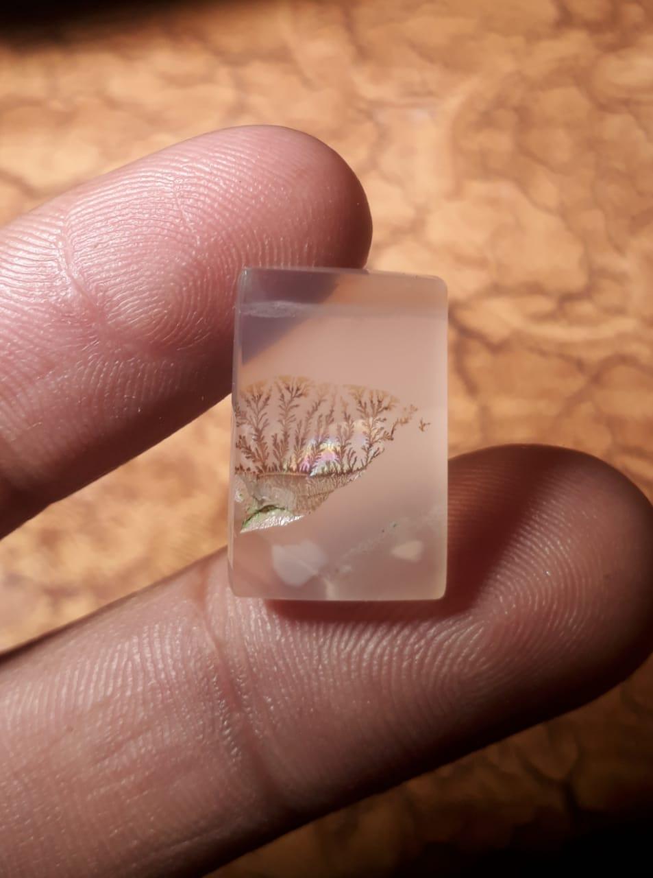 11.8ct Natural Dendritic Agate - Shajri Aqeeq - Dimension-19x12.3mm
