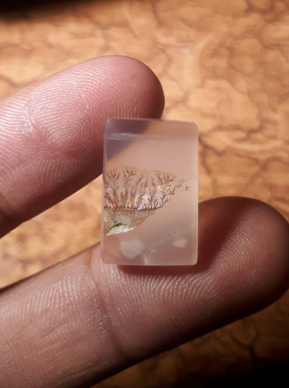 11.8ct Natural Dendritic Agate - Shajri Aqeeq - Dimension-19x12.3mm