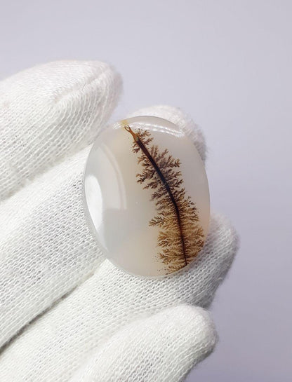 27.6ct Natural Dendritic Agate - Shajri Aqeeq- Dimension-29x23mm