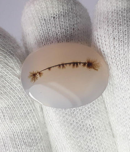 19.1ct Natural Dendritic Agate - Shajri Aqeeq -Dimension-24x18mm