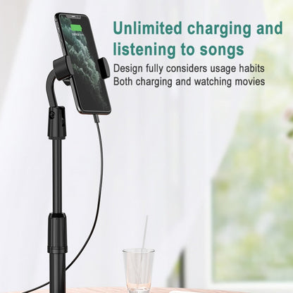 Desktop Stand Mobile Phone Tablet Live Broadcast Stand Telescopic Disc Stand, Holder + Remote Control