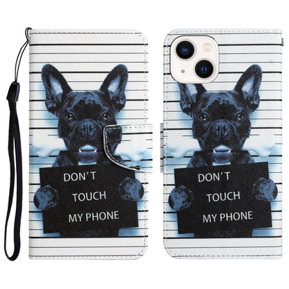 Colored Drawing Leather Phone Case, For iPhone 14