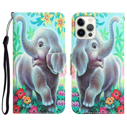 Colored Drawing Leather Phone Case, For iPhone 12 Pro Max