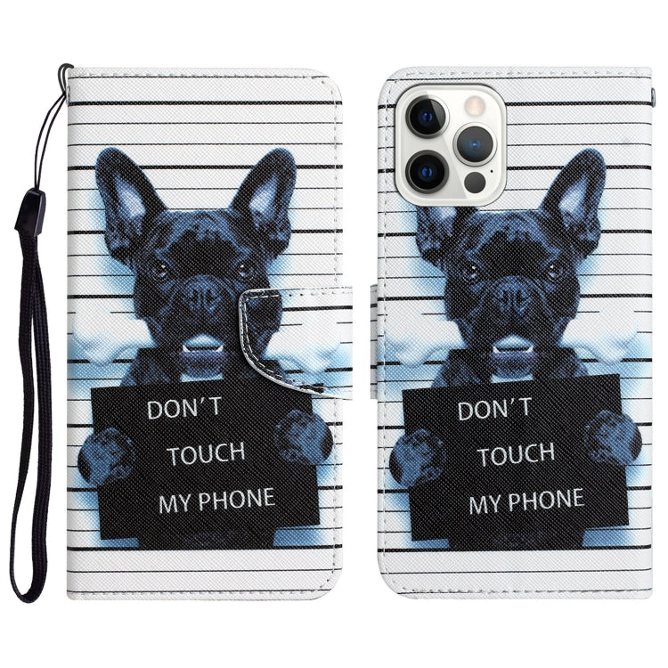Colored Drawing Leather Phone Case, For iPhone 12 Pro Max