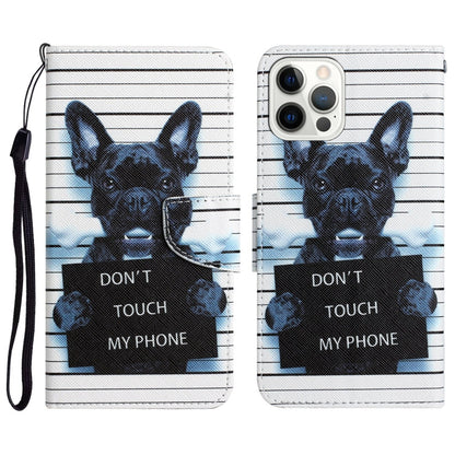 Colored Drawing Leather Phone Case, For iPhone 12 Pro Max