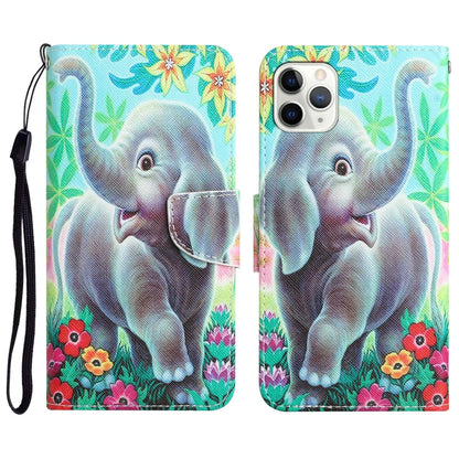 Colored Drawing Leather Phone Case, For iPhone 11 Pro