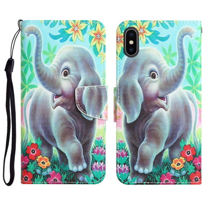 Colored Drawing Leather Phone Case, For iPhone XS Max