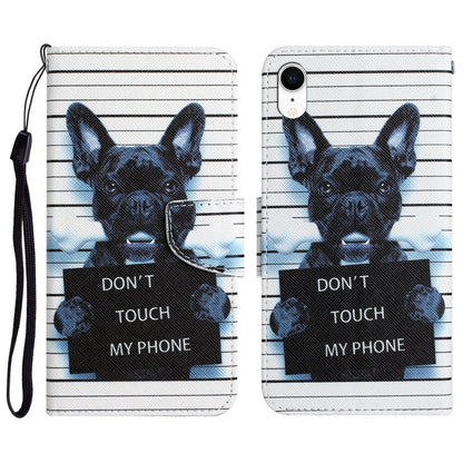 Colored Drawing Leather Phone Case, For iPhone XR