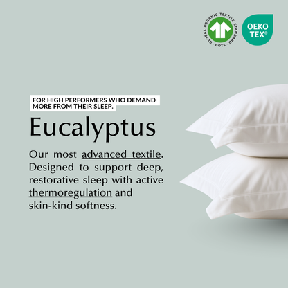 Cool & Comfy Silk Pillowcase Pair (Eucalyptus)