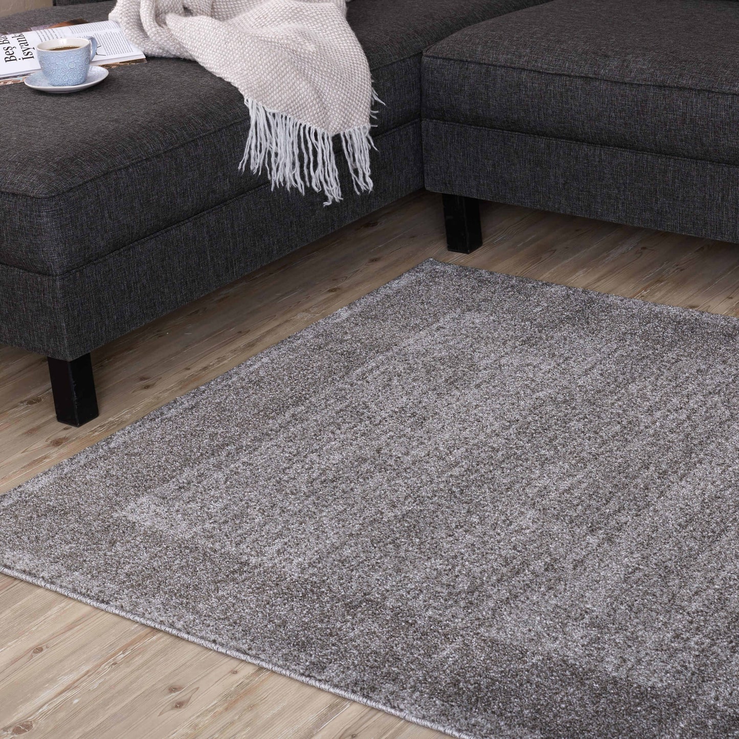 Ephesus Modern Grey Rugs | 7437G