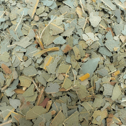 Eucalyptus Tea