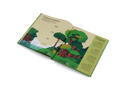Explore the Rainforest