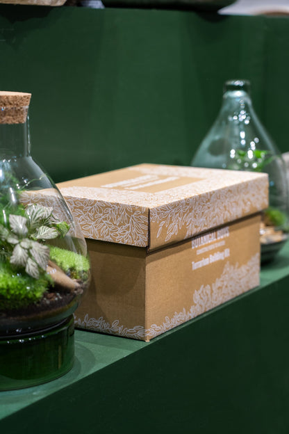 LAB Jar terrarium kit (Zen) - 24x23cm