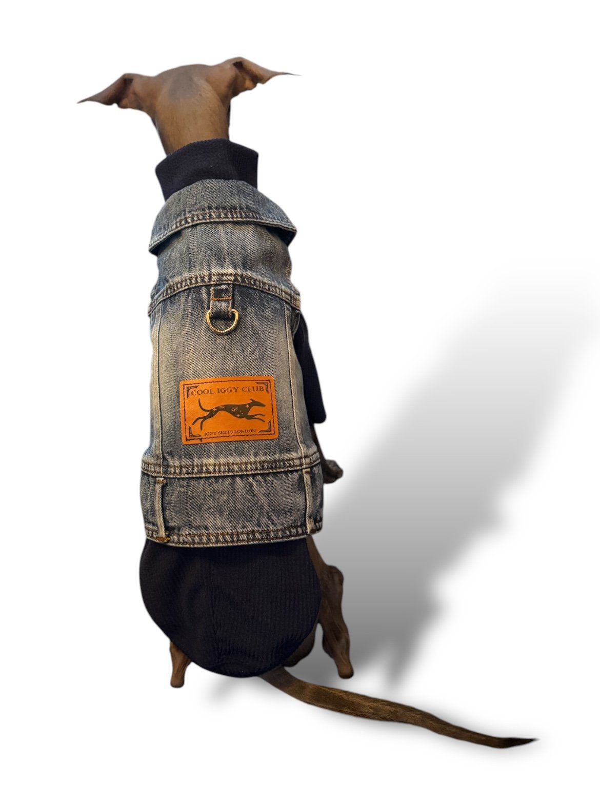 Denim Jacket - Cool Iggy Club