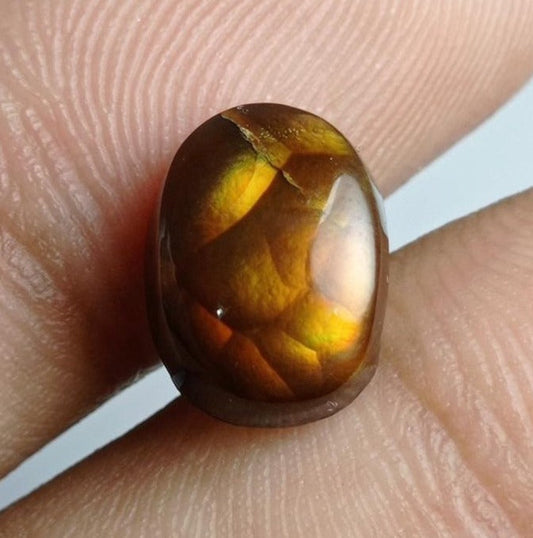5.4ct Mexican Oval Fire Agate, Dimensions 12x9x6mm