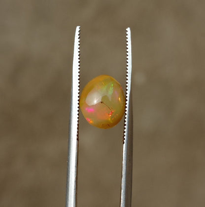 1.35ct Opal for Sale - White Fire Opal - Welo Opal - Honey Opal - October Birthstone - 8x7mm