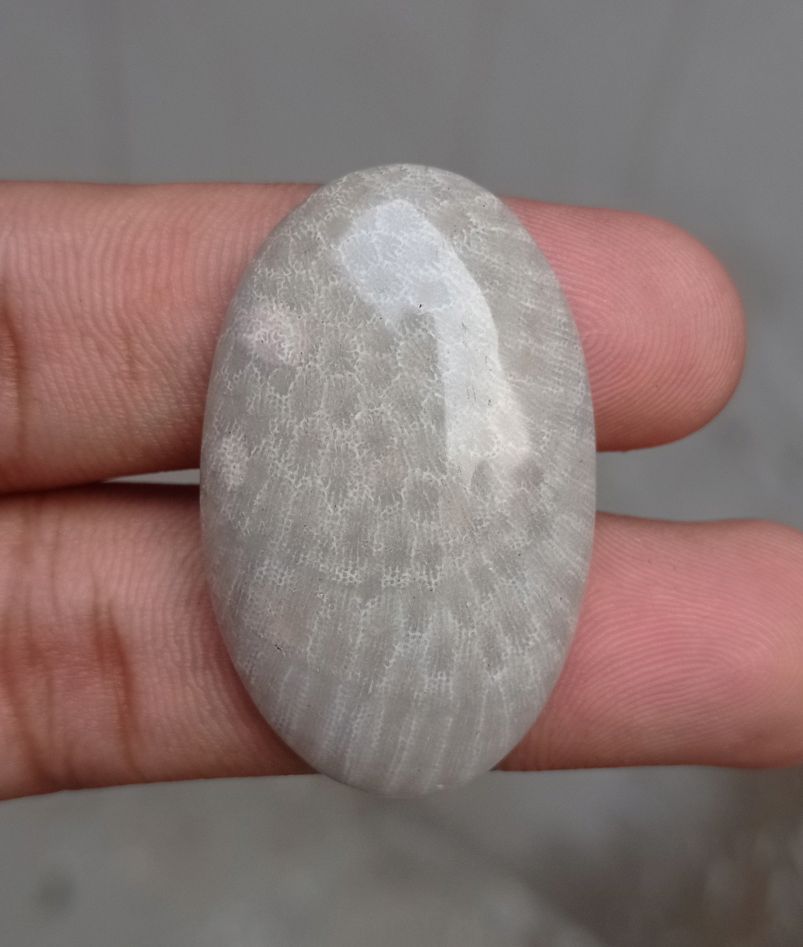 Natural Chrysanthemum Gemstone aka Agatized Coral Cabochon - 39x24x7mm