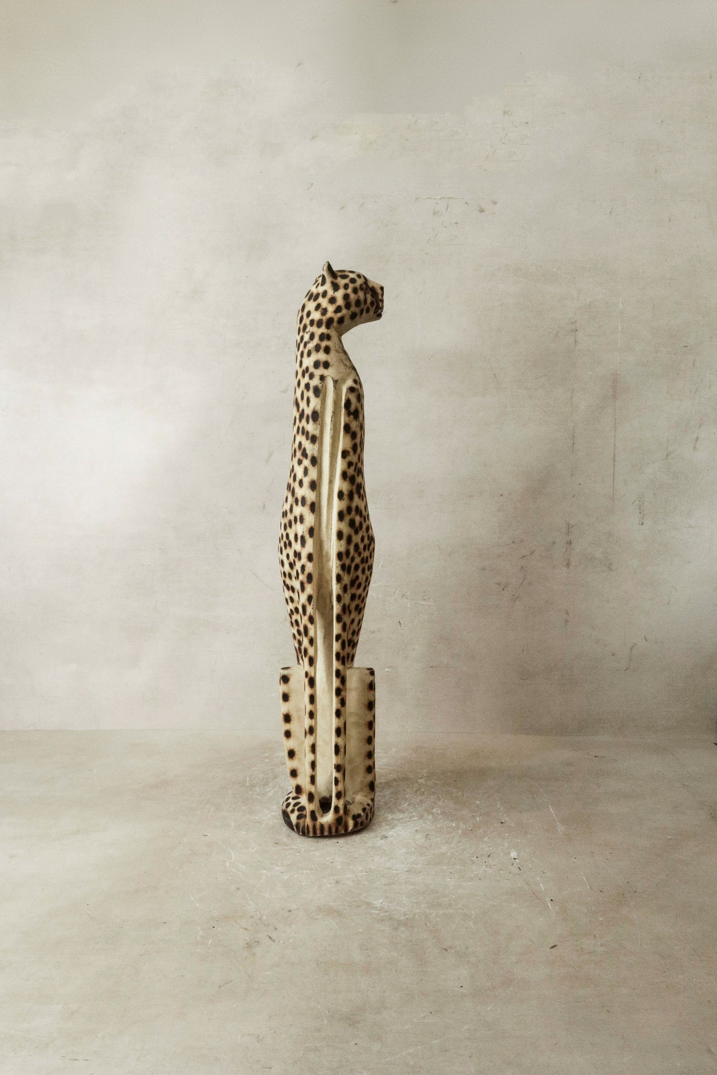Swazi Cheetah - 37.2