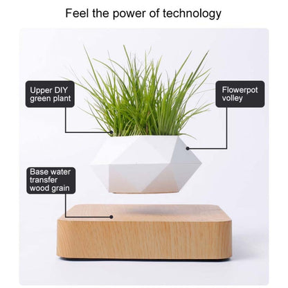 Diamond Plastic Flower Pot + Dark Wood Grain Base Magnetic Levitation Potted Plant Home Decoration, EU Plug, Dark Wood Grain EU Plug, Light Wood Grain EU Plug