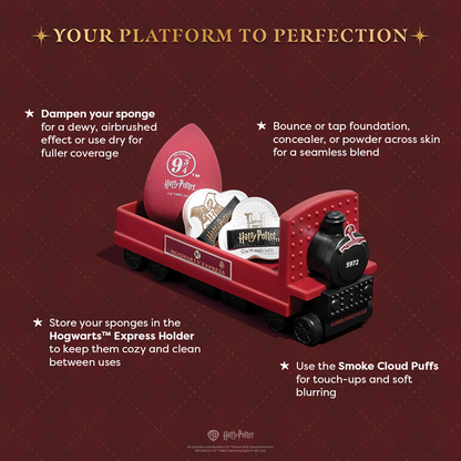 Harry Potter | Hogwarts™ Express Sponge Set