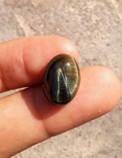 10.3ct Hawk's Eye Cabochon , Falcon's Eye, Blue Tiger's Eye, Blue Asbestos - 12x16mm