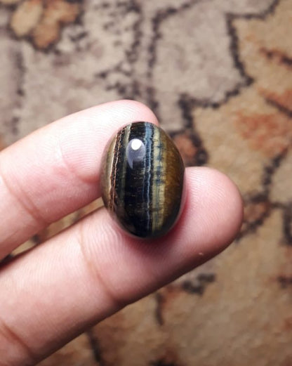 22.2ct Hawk's Eye Cabochon , Falcon's Eye, Blue Tiger's Eye, Blue Asbestos - 20x15mm