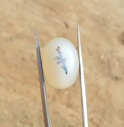 18.1ct Natural Dendritic Agate - Shajri Aqeeq -21x15mm