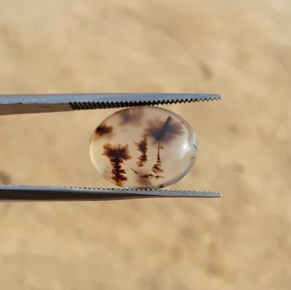 6.7ct Natural Dendritic Agate - Shajri Aqeeq -16x13mm