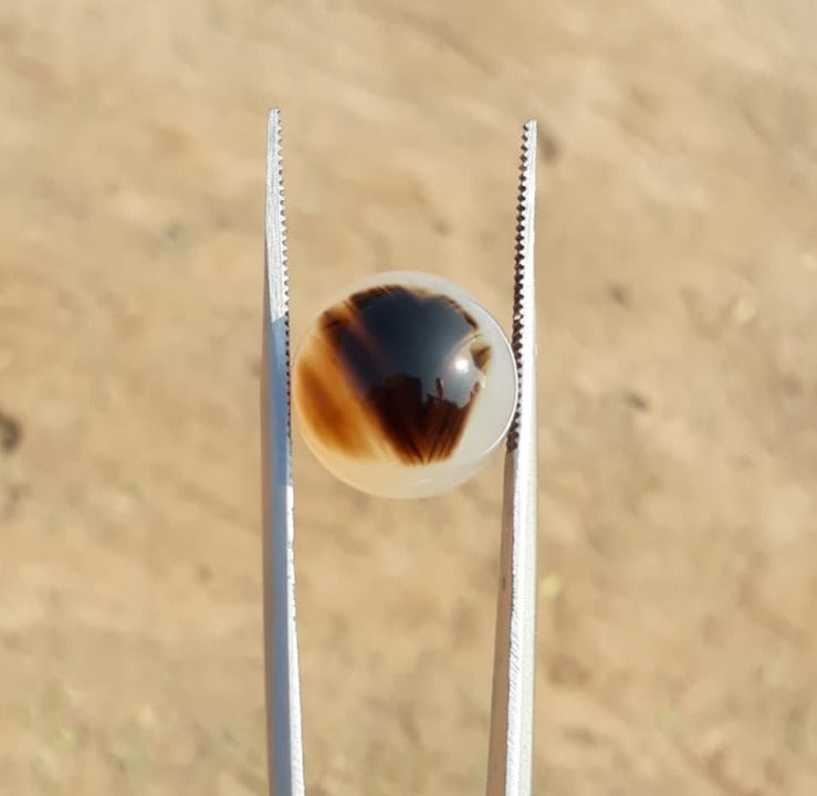 15.2ct Natural Dendritic Agate - Shajri Aqeeq -15x15mm